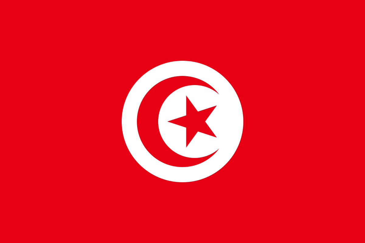 هنر اسلامی در تونس